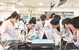 Vì sao Nhật Bản trở thành điểm đến hàng đầu của du học sinh Việt Nam?